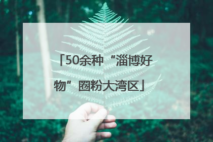 50余种“淄博好物”圈粉大湾区